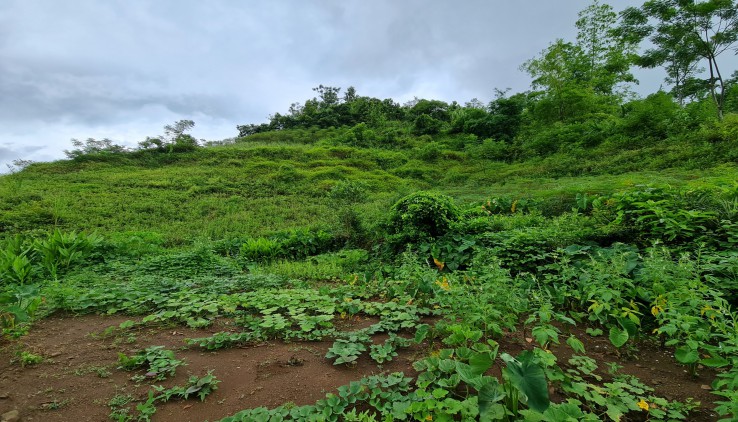 BÁN GẤP 6000M LÀM NGHỈ DƯỠNG VIEW CỰC ĐẸP TẠI CAO PHONG